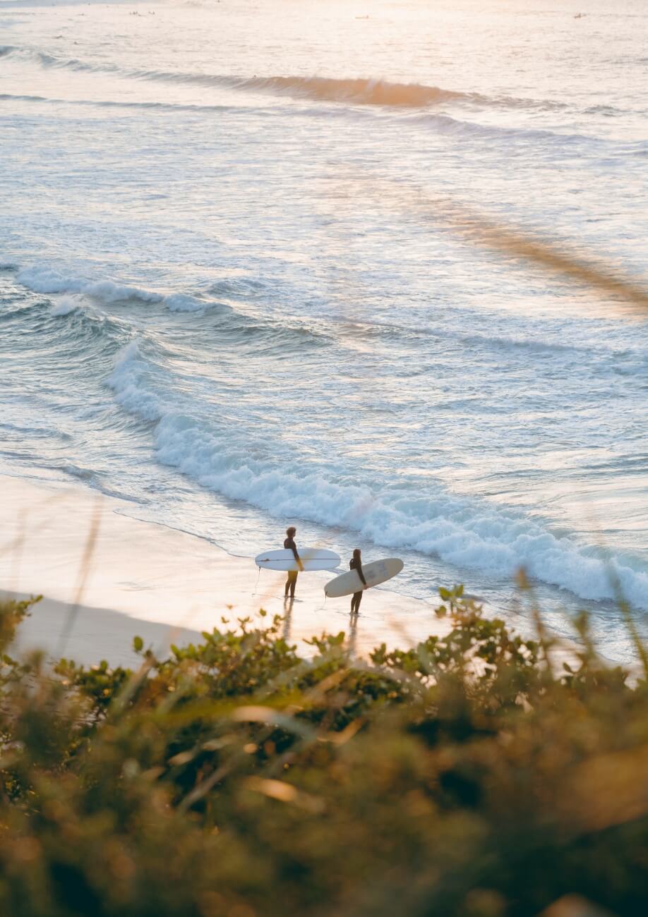 Waves
