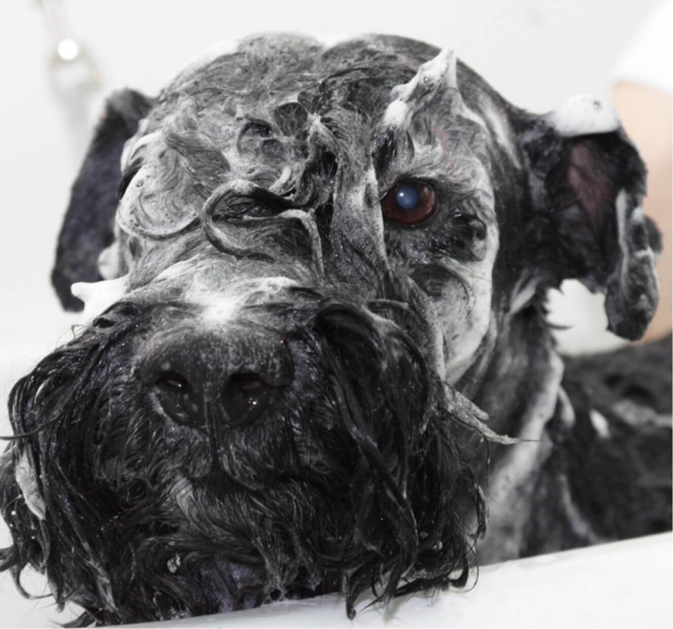 JQZ_Origami_Amenities_Lifestyle_01