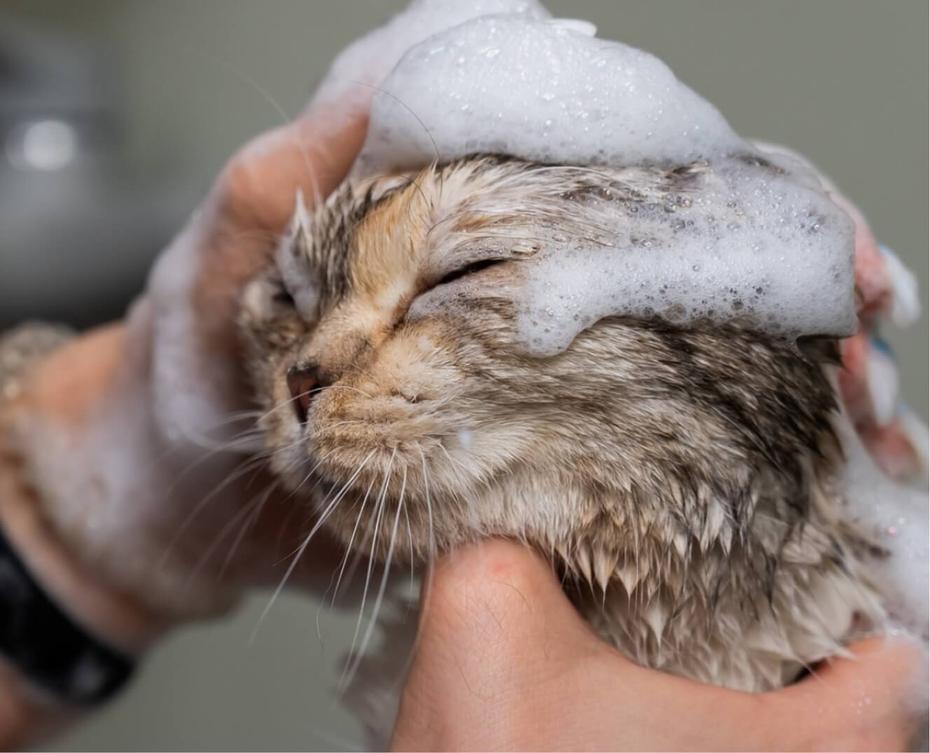 JQZ_Origami_Amenities_Lifestyle_02